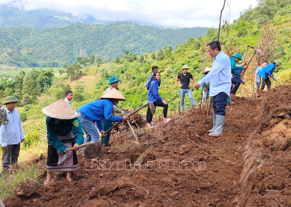 Đại biểu Sùng Lử Páo - Phó Bí thư Huyện ủy, Chủ tịch UBND huyện Tam Đường trực tiếp chỉ đạo và cùng Nhân dân xã Nà Tăm làm đất trồng chè. Đại biểu Sùng Lử Páo - Phó Bí thư Huyện ủy, Chủ tịch UBND huyện Tam Đường trực tiếp chỉ đạo và cùng Nhân dân xã Nà Tăm làm đất trồng chè.